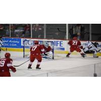 Allen Americans defend their net