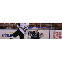 Sam Kurker of the Manchester Monarchs Takes a Shot against the Worcester Railers