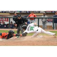 Dayton Dayton Catcher Morgan Lofstrom reaches home plate just ahead of the tag
