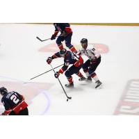 Macon Mayhem vs. the Evansville Thunderbolts