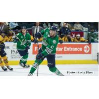 Florida Everblades Defenseman Logan Roe