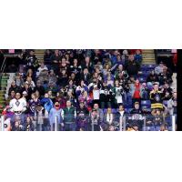 The crowd at a Reading Royals game