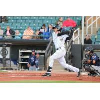 Jackson Generals Outfielder Ben DeLuzio