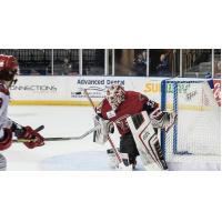 Rapid City Rush Goaltender Christian Frey