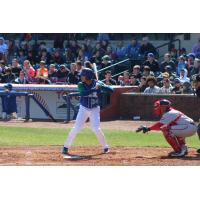 Marten Gasparini of the Lexington Legends