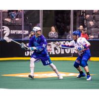 Joe Resetarits of the Rochester Knighthawks vs. the Toronto Rock