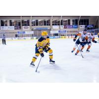 Erie Otters Defenseman Aidan Timmermans vs. the Flint Firebirds