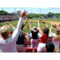 Fans enjoying a New Jersey Jackals game
