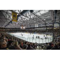 Progressive Auto Sales Arena, home of the Sarnia Sting