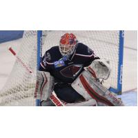 South Carolina Stingrays Goaltender Parker Milner