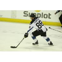 Idaho Steelheads Forward Tommy Thompson