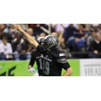 Carolina Cobras Quarterback Charles McCullum