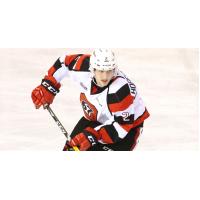 Defenseman Noel Hoefenmayer with the Ottawa 67's