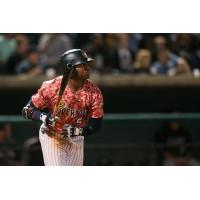 Charleston RiverDogs Right Fielder Steven Sensley watches his game-winning home run