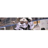 Manchester Monarchs celebrate double-OT playoff win