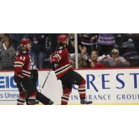Tucson Roadrunners celebrate a goal