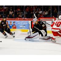 Cleveland Monsters Goaltender Matiss Kivlenieks vs. the Grand Rapids Griffins