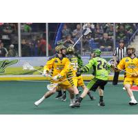 Randy Staats of the Georgia Swarm against the Saskatchewan Rush