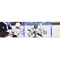 Manchester Monarchs goaltender Charles Williams faces the Reading Royals