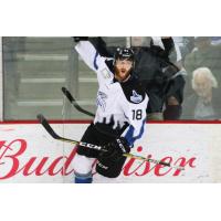 AJ White of the Idaho Steelheads celebrates a goal