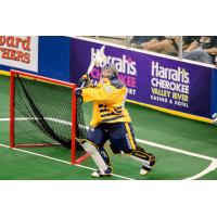 Georgia Swarm goaltender Mike Poulin
