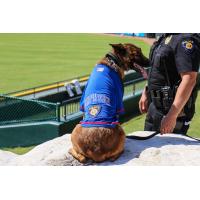 K-9 unit Vada