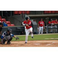 Keston Hiura of the Carolina Mudcats at bat