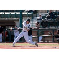 Seth Gray of Wright State at the plate