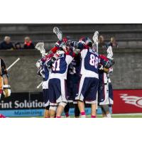 Boston Cannons celebrate a goal