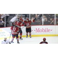 Tucson Roadrunners celebrate a goal