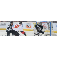 Terrence Wallin of the Adirondack Thunder scores against the Manchester Monarchs