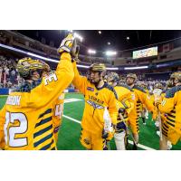 Georgia Swarm celebrates after clinching a playoff berth