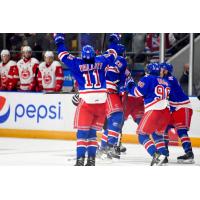 Kitchener Rangers celebrate