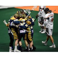 Georgia Swarm celebrates against the New England Black Wolves