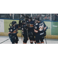 Greenville Swamp Rabbits celebrate