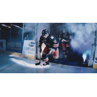 Greenville Swamp Rabbits player entrances