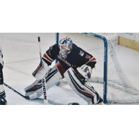 Greenville Swamp Rabbits goaltender Brandon Halverson