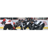 Manchester Monarchs face off with the Adirondack Thunder