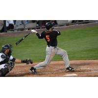 Tyler Holt of the Long Island Ducks Takes a Swing