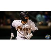 Dalton Blaser of the Charleston RiverDogs watches his home run leave the park