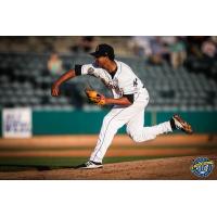 Charleston RiverDogs pitcher Rony Garcia