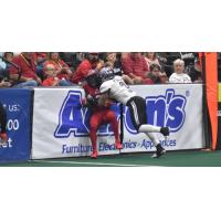 Carolina Cobras push around the Jacksonville Sharks