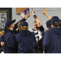 Somerset Patriots celebrate Aaron Dudley's walk off double