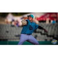 Charleston RiverDogs pitcher Dalton Lehnen