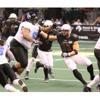 Justin Shirk of the Arizona Rattlers