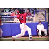 Salem Red Sox right fielder Kyri Washington at the plate