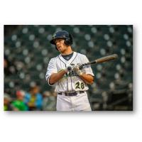 Columbia Fireflies left fielder Raphael Gladu