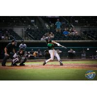 Charleston RiverDogs third baseman Chris Hess connects on his walk-off hit