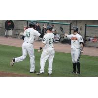 Long Island Ducks congratulate David Washington after his homer