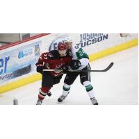 Tucson Roadrunners vs. Texas Stars